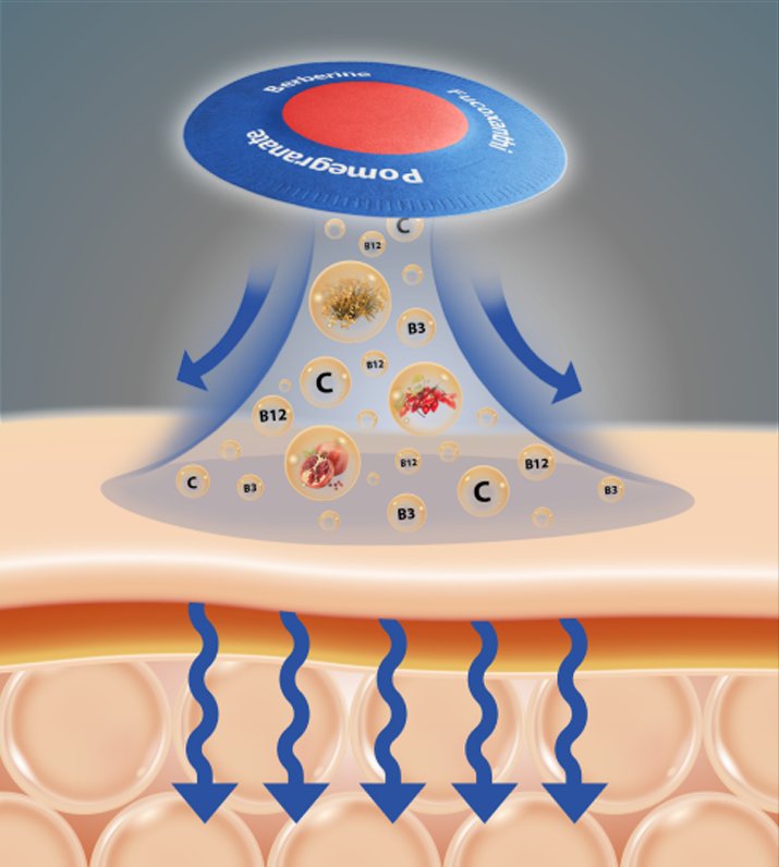 Diagram of how Purisaki patch delivers ingredients through the skin